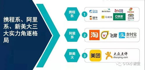 创业新风口 OTA线上酒店代理，为酒店提供专业管理服务